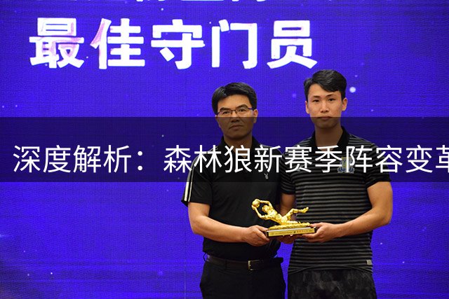 深度解析：森林狼新赛季阵容变革，防守悍将能否填补内线空缺？